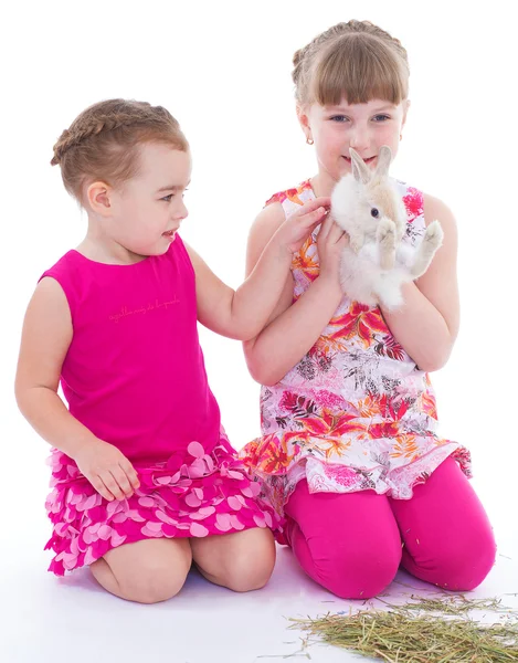 Two little girlfriends stroking rabbit — Stock Photo, Image