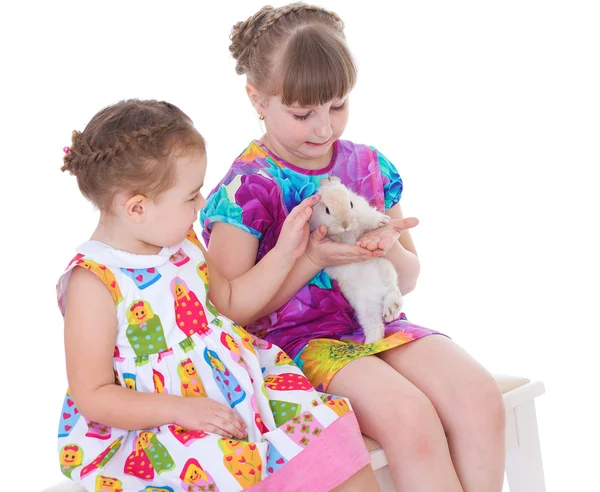 Two little girlfriends stroking rabbit — Stock Photo, Image