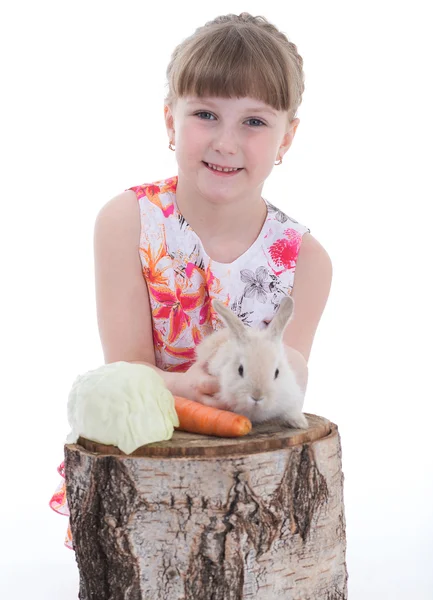 Cute little girl with her pet rabbit — Stock Photo, Image