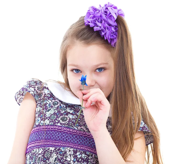 Little girl enjoys the smell of flowers — Stock Photo, Image