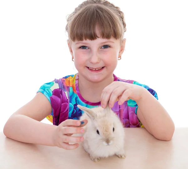 Little girl with adorable rabbit — Stock Photo, Image