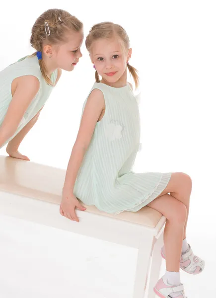 Cute sisters having fun sitting on a chair. — Stock Photo, Image