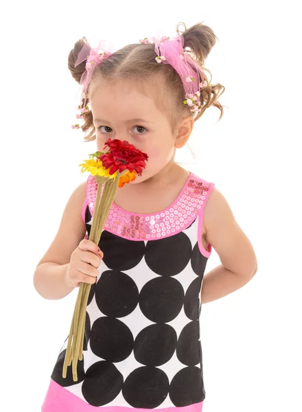 Little girl posing with a bouquet of flowers — Stock Photo, Image