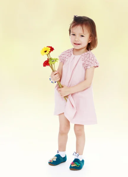 Girl in a pink dress — Stock Photo, Image