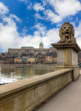 zincir köprü, Budapeşte, Macaristan'ın veli aslan
