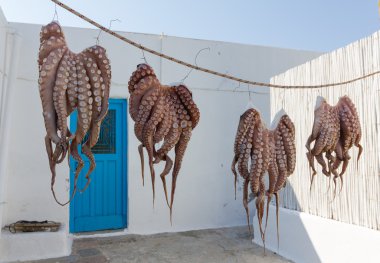 bir Yunan Adası güneşte kurutma ahtapot