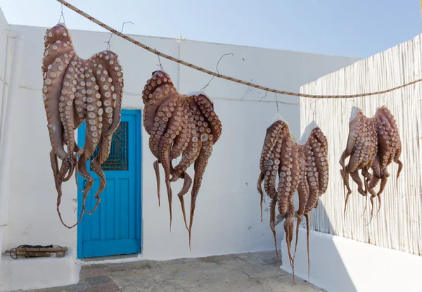 Octopuses drying in the sun in a Greek island — Stock Photo, Image