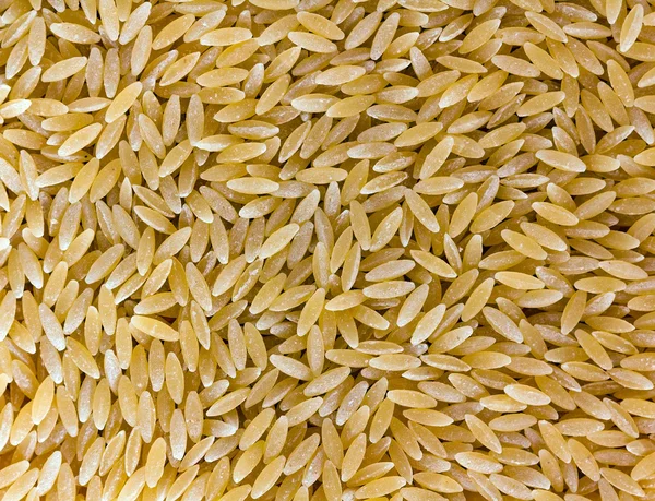 Massas alimentícias Orzo (risoni) — Fotografia de Stock