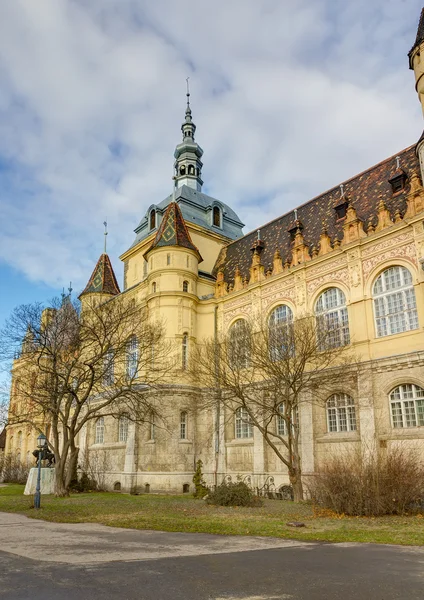 Castillo de Vajdahunyad, Budapest, Hungría — Foto de Stock