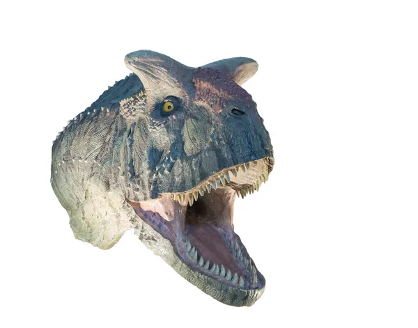 Restauro di un dinosauro Carnotaurus (Carnotaurus sastrei) isolato — Foto Stock