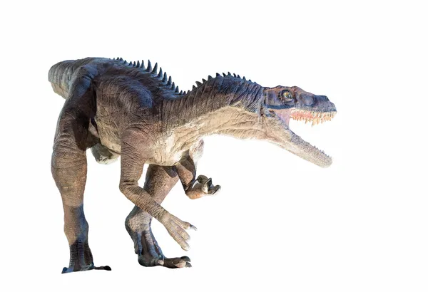 Bir herrerasaurus restorasyonu (herrerasaurus ischigualastensis) izole dinozor