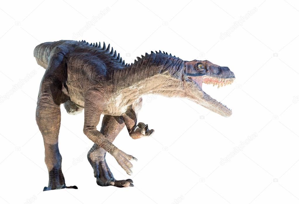 Restoration of a Herrerasaurus (Herrerasaurus ischigualastensis) dinosaur isolated
