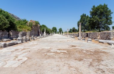 Antik Efes, Türkiye'nin liman Caddesi
