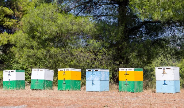 Beehives in forest — Stock Photo, Image