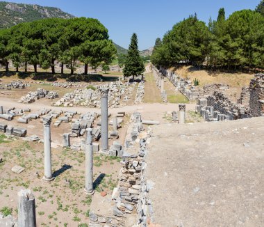 ticari agora ve serapis Tapınağı, Efes, Türkiye