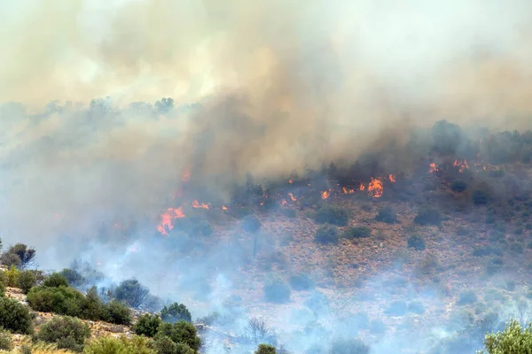 Waldbrand Auf Berg Griechenland — Stockfoto