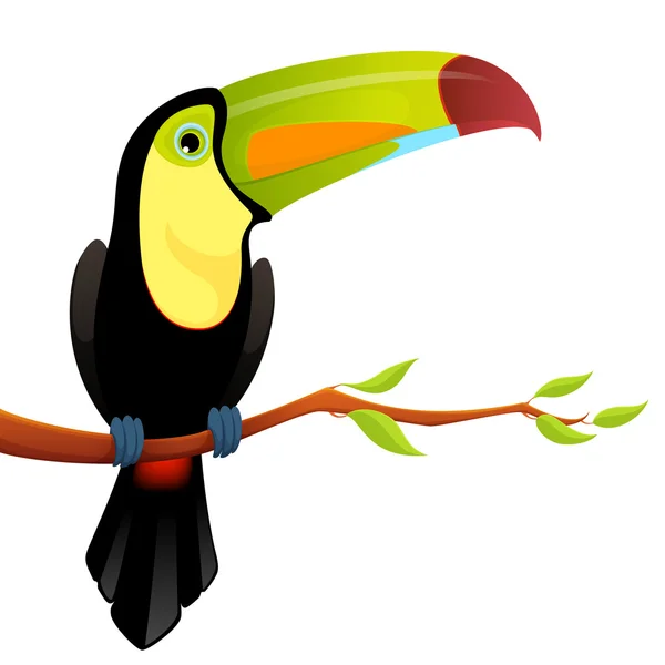 Illustration of a cute toucan sitting on a branch with leaves — Stock Vector