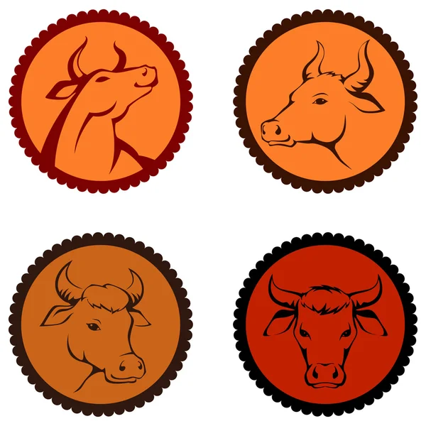 简单线条插图的母牛或牛头与圆背景一套 — 图库矢量图片