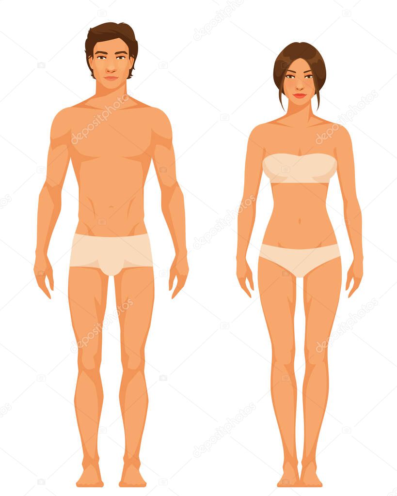 illustration of a slim athletic body type of adult man and woman. Healthy lifestyle or anatomy concept. Gender comparison.