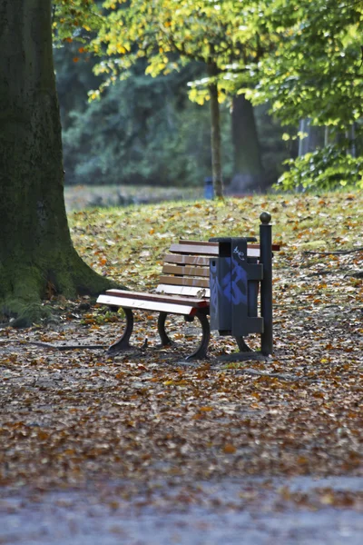 Autumn, bench — Stock Photo, Image