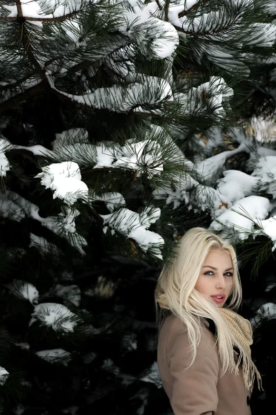Vacker flicka i snö utomhus — Stockfoto