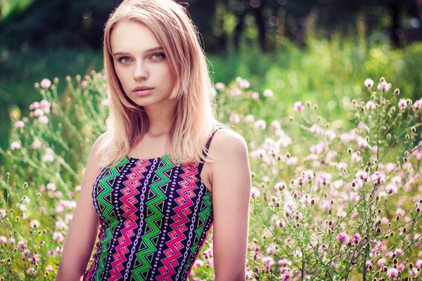 Model meisje op het veld in zonlicht. lang haar — Stockfoto
