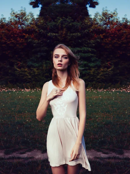 Fabulosa mujer retrato acostado en el campo con flores —  Fotos de Stock