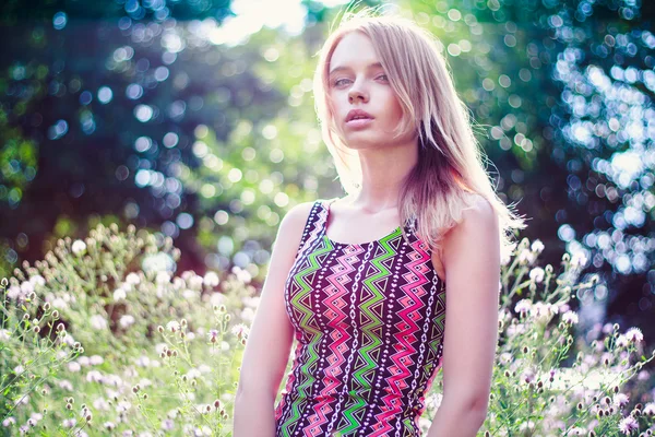 Ragazza modello sul campo alla luce del sole. Capelli lunghi — Foto Stock