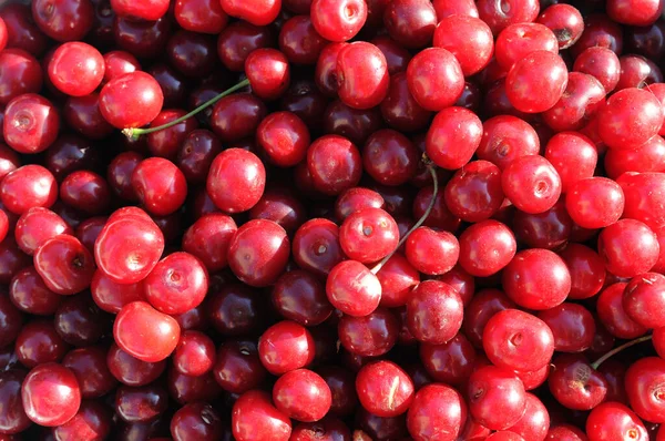 Pazarda taze kiraz meyvesi