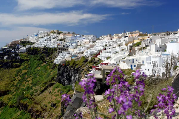 Santorini i vår tid med blommor, staden fira, Grekland — Stockfoto