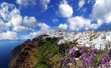 Santorini'de bahar zaman çiçek, fira town, Yunanistan