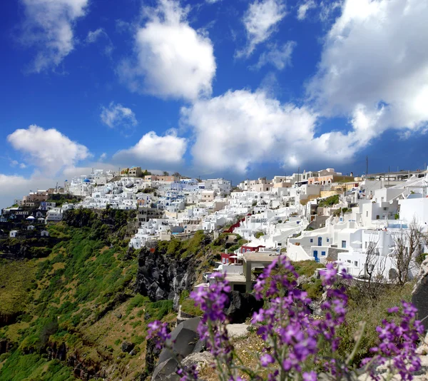 Santorini in spring time with flowers, Fira Town, Greece — Stock Photo, Image
