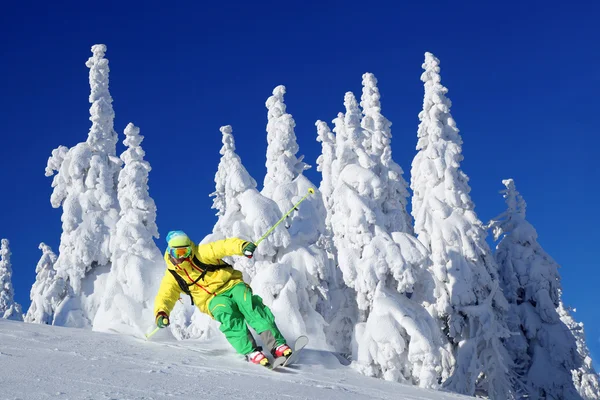 Yüksek dağlarda kayak yapan kayakçı.