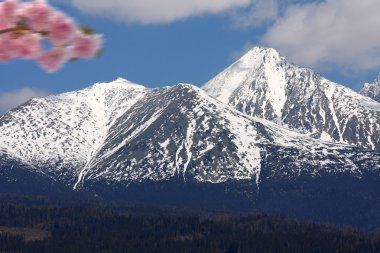 yüksek tatra bahar günlerinde, Slovakya