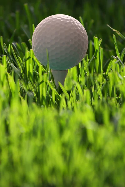 Bola de golfe no tee na grama fresca — Fotografia de Stock