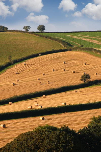 Paisagens inglesas — Fotografia de Stock