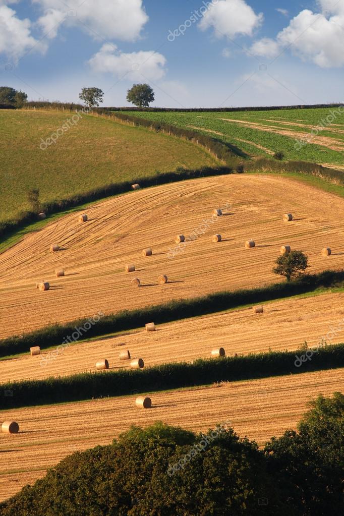 English landscapes Stock Photo by ©samot 16834873