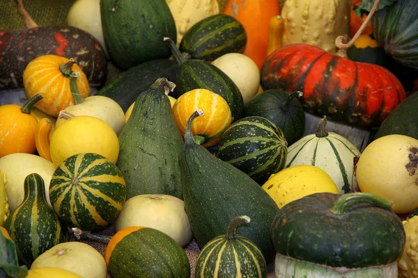 Pumpkins — Stock Photo, Image