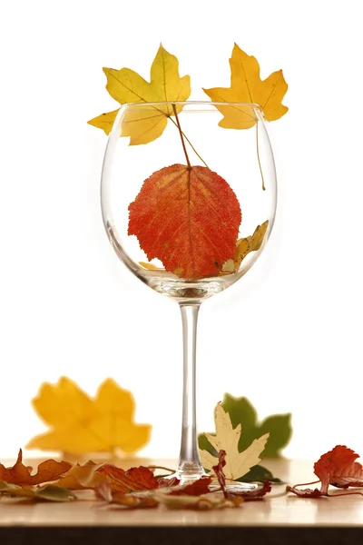 Wijnglas met Herfstbladeren — Stockfoto