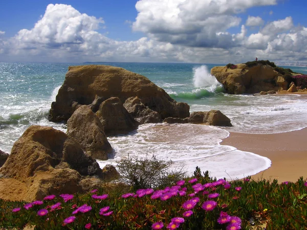 Algarve incrível na primavera, Portugal — Fotografia de Stock
