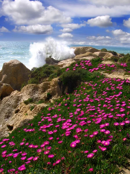 Algarve, Portekiz ile bahar günlerinde güzel sahil — Stok fotoğraf