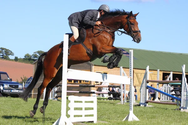 Corridas de cavalos, show jumping — Fotografia de Stock