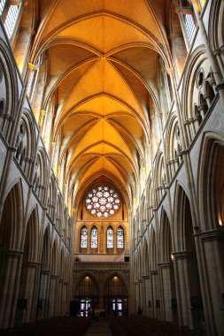 Katedral truro, cornwall, İngiltere
