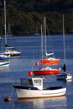 balıkçı tekneleri