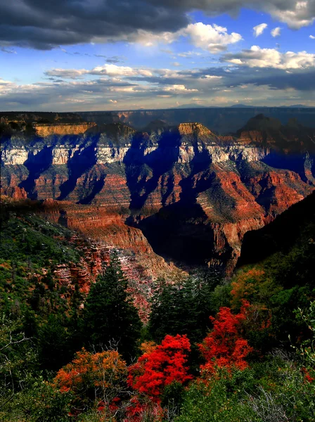 Outono lindo em Grand Canyon, Arizona, EUA — Fotografia de Stock
