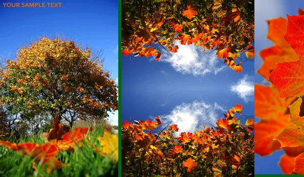 Feuilles d'automne avec trou de serrure — Photo