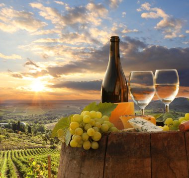 Chianti, Toskana, İtalya 'da üzüm bağında beyaz şarap