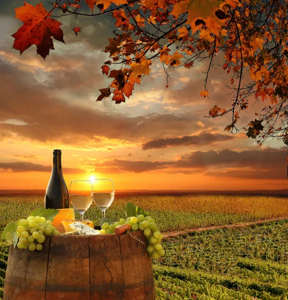 White wine with barrel on vineyard in Chianti, Tuscany, Italy — Stock Photo, Image