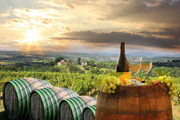 Vitt vin med fat på vingård i Chianti, Toscana, Italien — Stockfoto