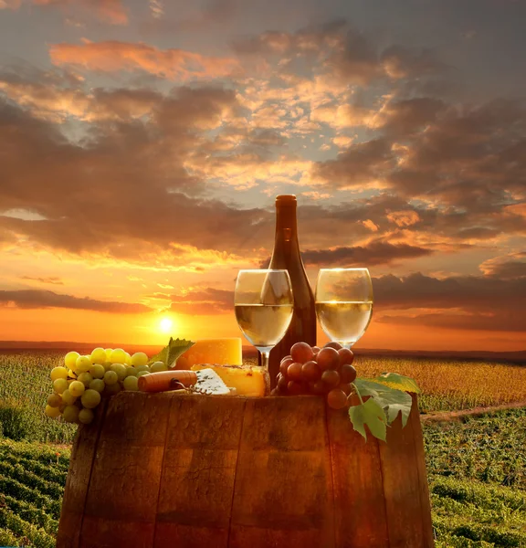 White wine with barrel on vineyard in Chianti, Tuscany, Italy — Stock Photo, Image